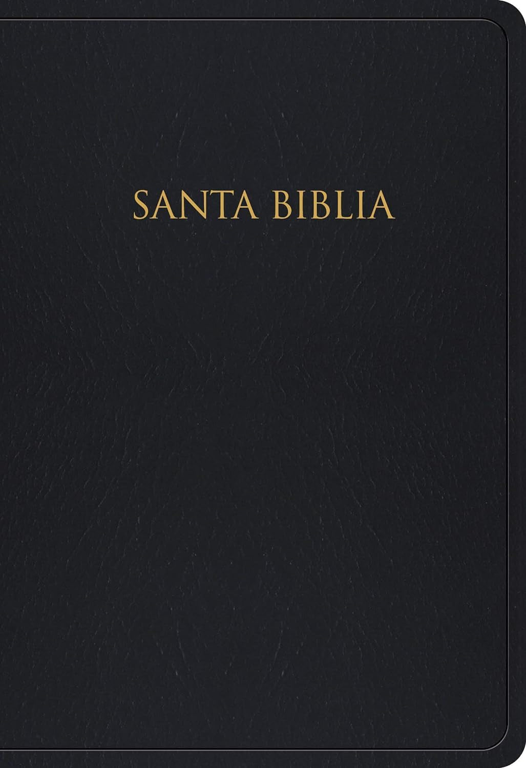 Santa Biblia: Reina-Valera 1960 Para Regalos Y Pemios Negro Imitación Piel (Spanish Edition)