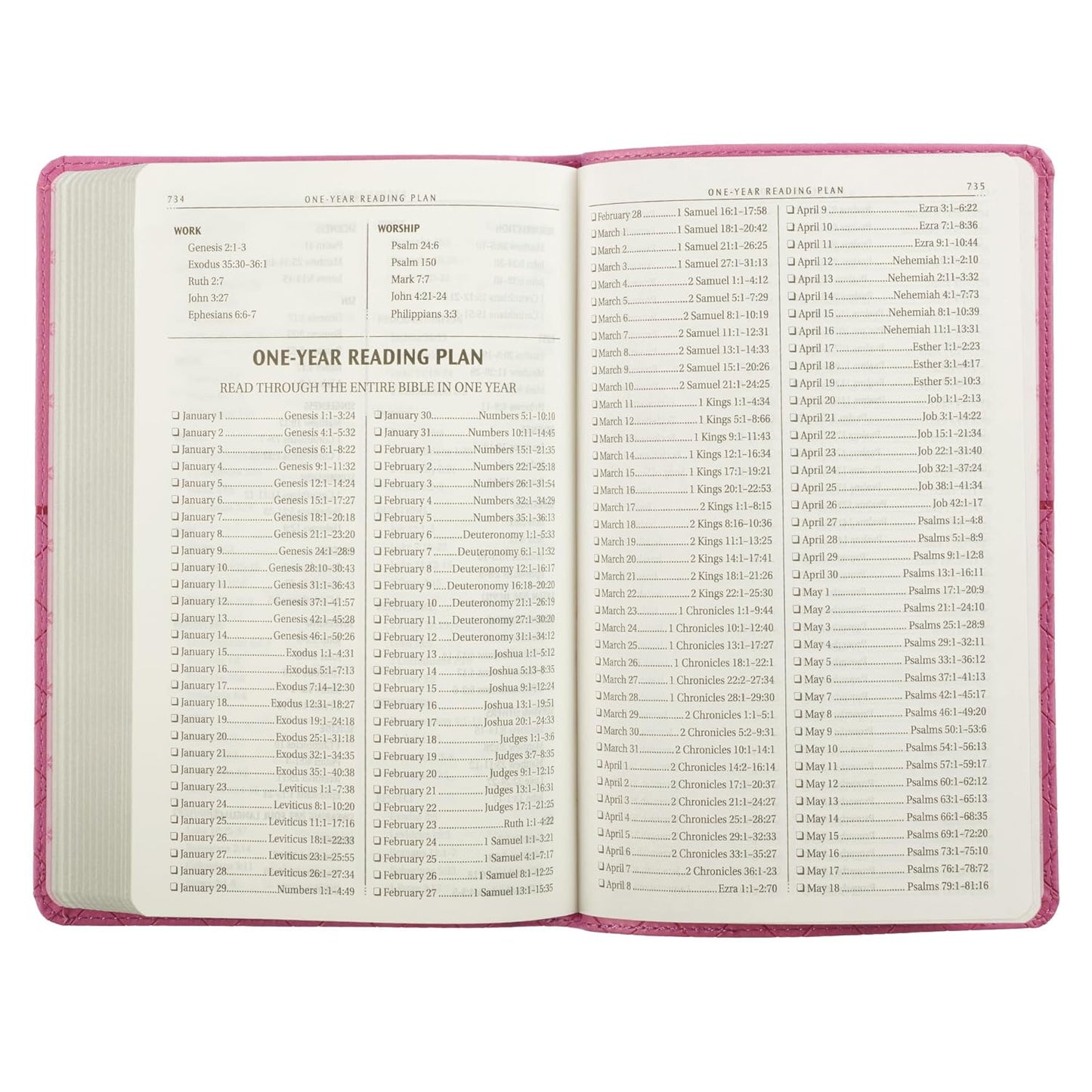 KJV Holy Bible, Gift Edition Faux Leather, King James Version, Pink