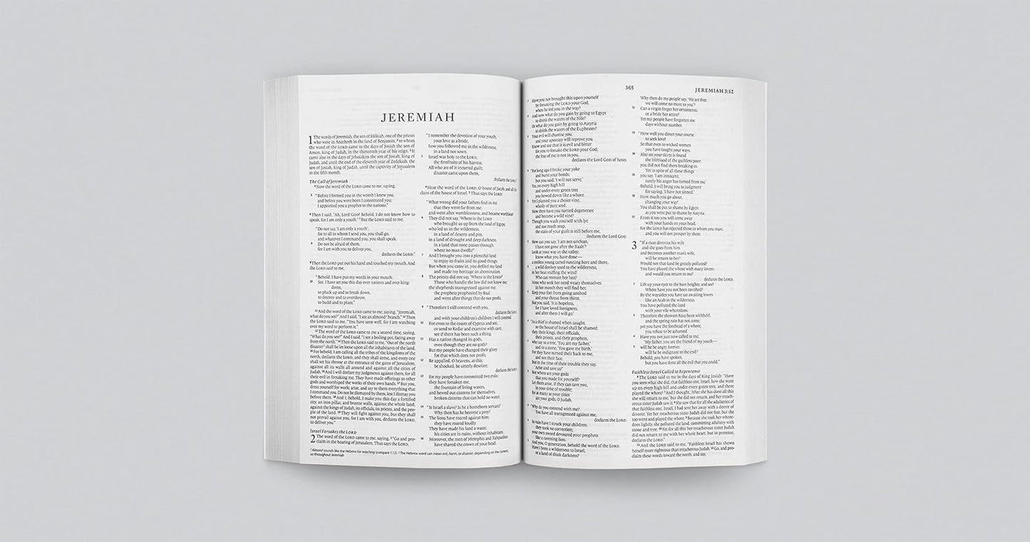 ESV Economy Bible