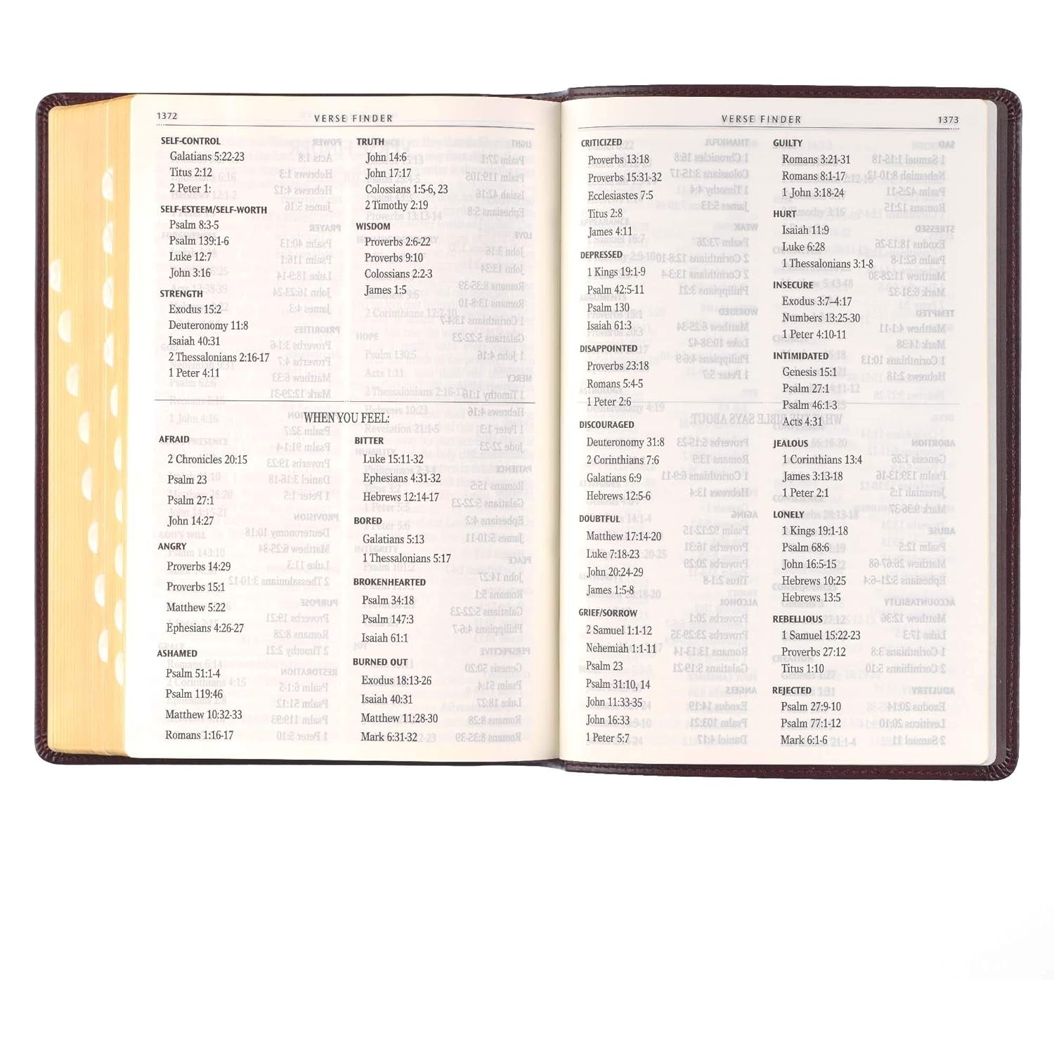 KJV Holy Bible, Full-Size Faux Leather Red Letter Edition - Thumb Index & Ribbon Marker, King James Version